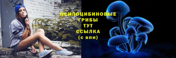 прущая мука Дмитриев
