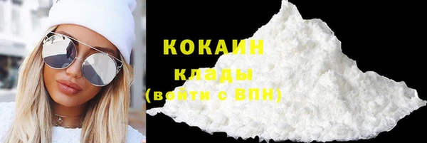 прущая мука Дмитриев