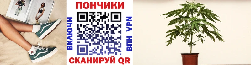 Купить где  Кудымкар  Марихуана конопля 